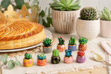 Lot de 9 fèves en porcelaine cactus et plantes succulentes